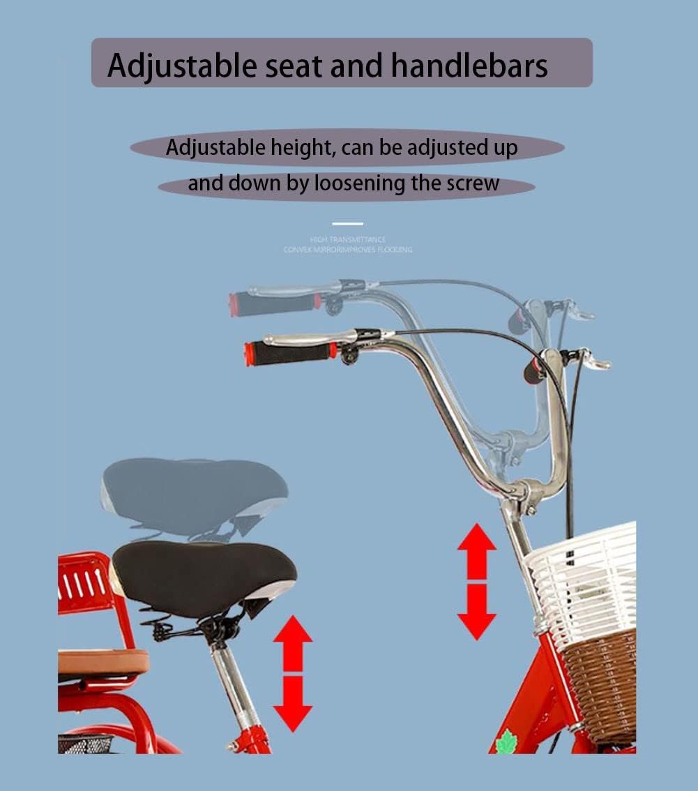 Tricycle Adulte avec Siège – Vélo 3 Roues 50,8 cm, Panier Arrière, Stabilité et Confort