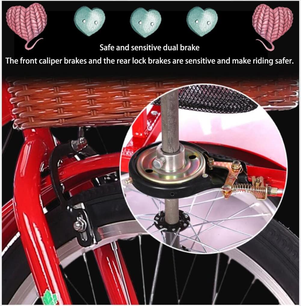 Tricycle Adulte avec Siège – Vélo 3 Roues 50,8 cm, Panier Arrière, Stabilité et Confort