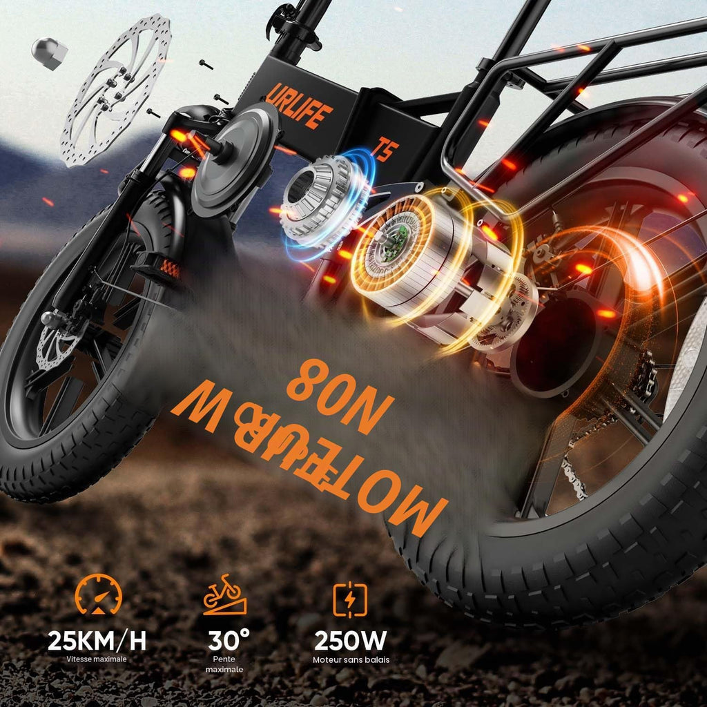 URLIFE T5 – Fat Bike Électrique Pliable 20''x4.0'' 250W 80Nm 48V 13Ah 100 km 7 Vitesses – Vitesse max 25 km/h Bleu