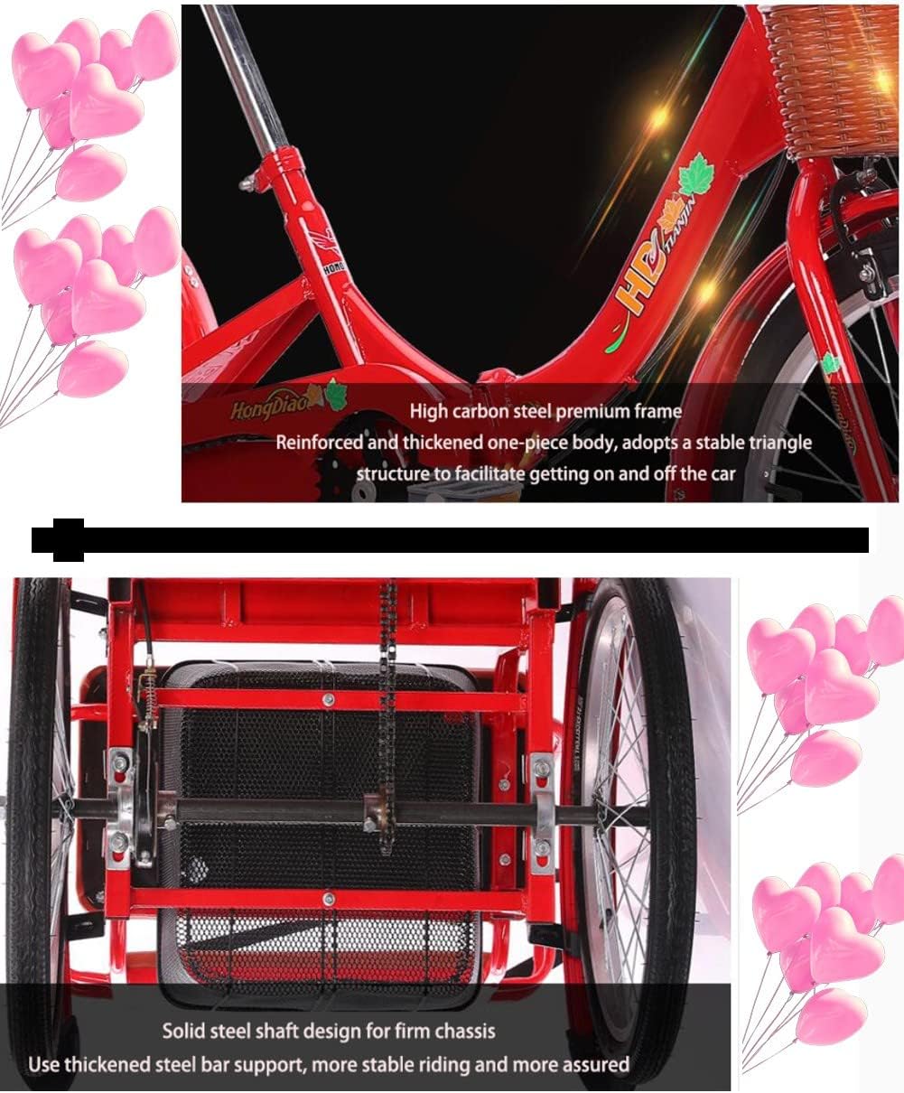 Tricycle Adulte avec Siège – Vélo 3 Roues 50,8 cm, Panier Arrière, Stabilité et Confort
