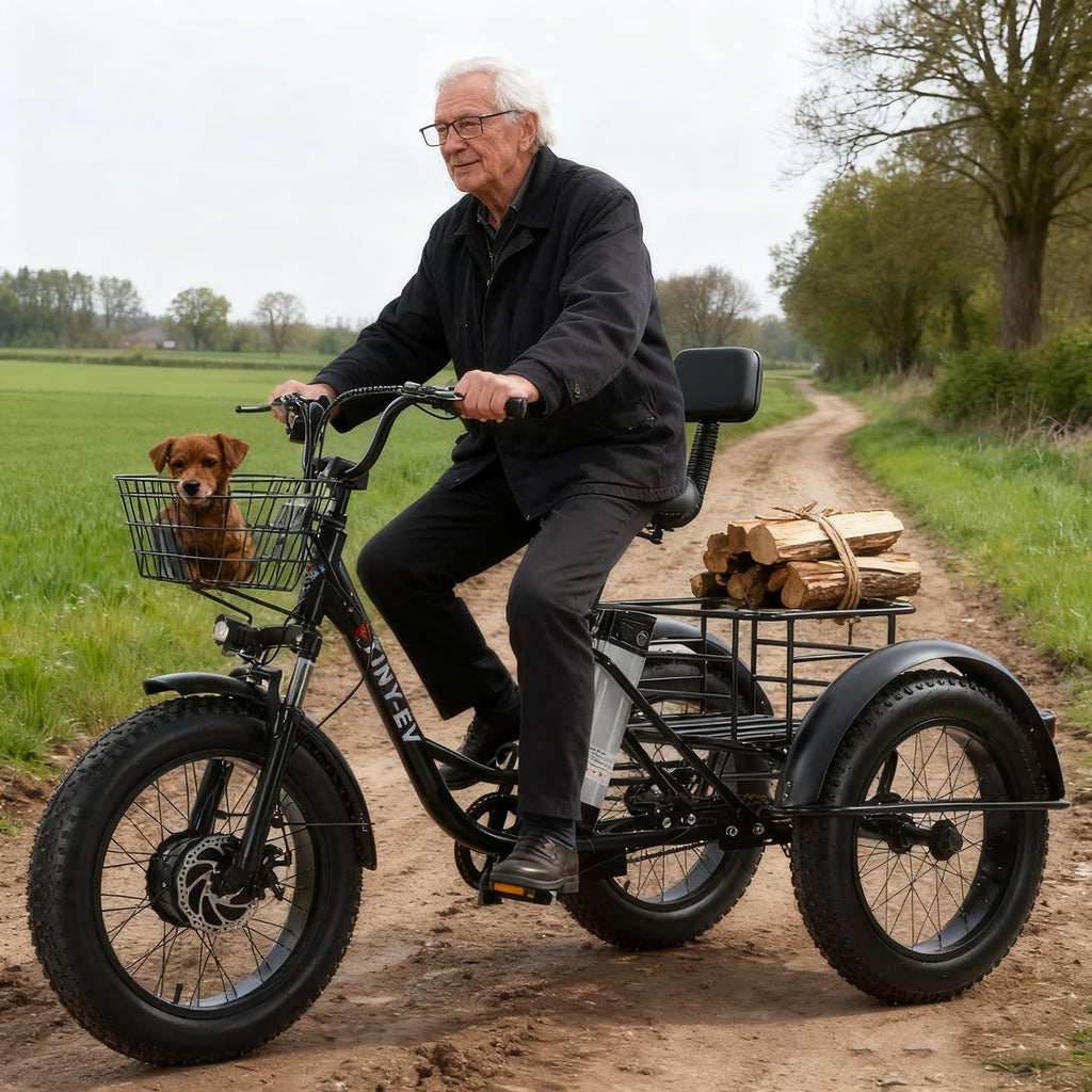 Tricycle Électrique Adulte Fat Tire 20''x4.0'' – Batterie 48V 12Ah – Vitesse max 25 km/h – Cadre Bas, Grand Panier